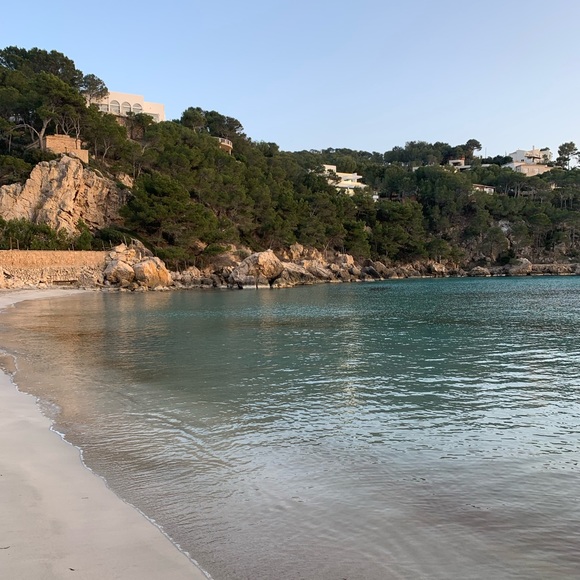 Meet your Posher, Elle - Picture 2 of 4